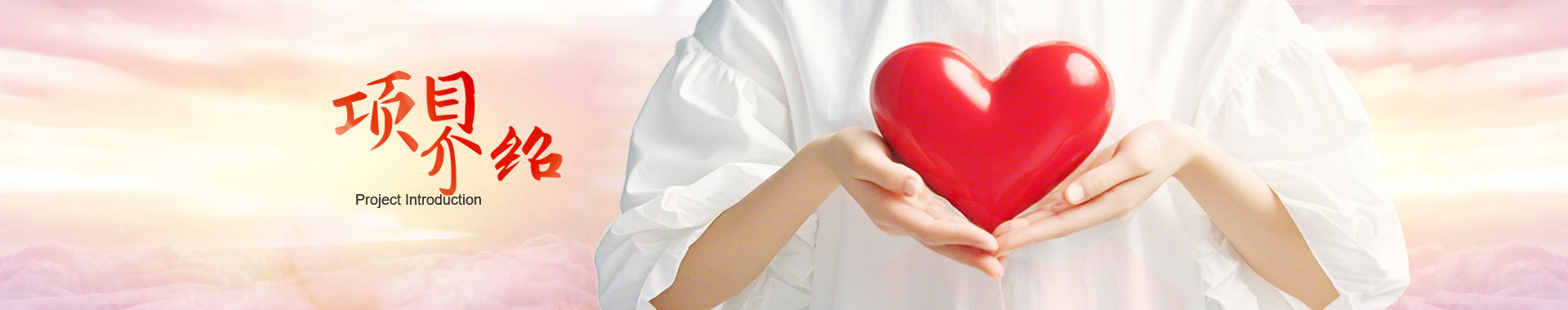 項(xiàng)目介紹